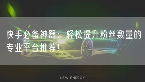 快手必备神器：轻松提升粉丝数量的专业平台推荐！