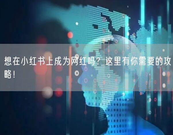想在小红书上成为网红吗?这里有你需要的攻略!