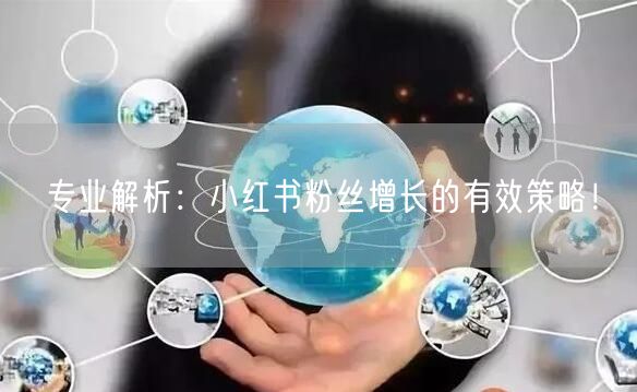 专业解析:小红书粉丝增长的有效策略!