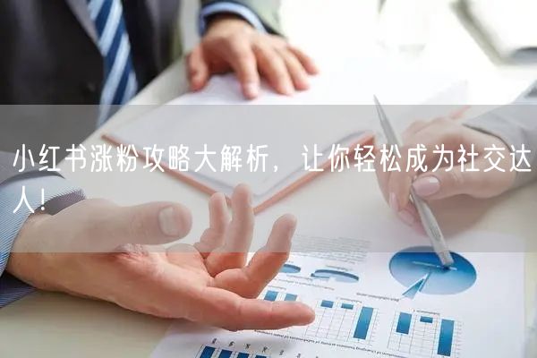 小红书涨粉攻略大解析,让你轻松成为社交达人!