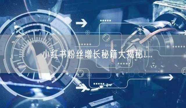 小红书粉丝增长秘籍大揭秘!