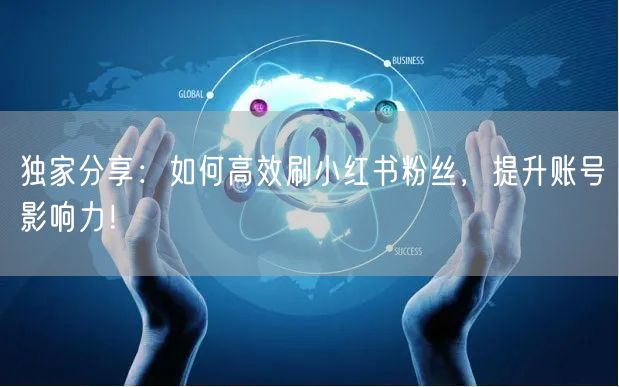 独家分享:如何高效刷小红书粉丝,提升账号影响力!