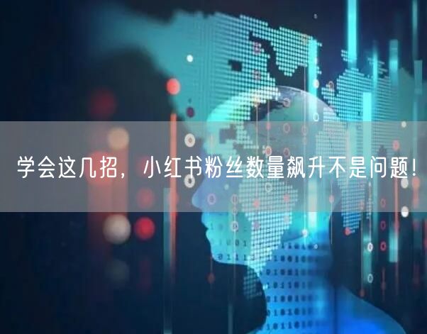 学会这几招,小红书粉丝数量飙升不是问题!
