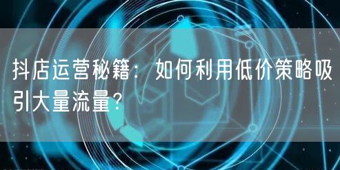 抖店运营秘籍:如何利用低价策略吸引大量流量?