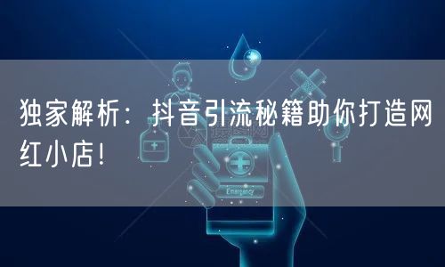 独家解析:抖音引流秘籍助你打造网红小店!